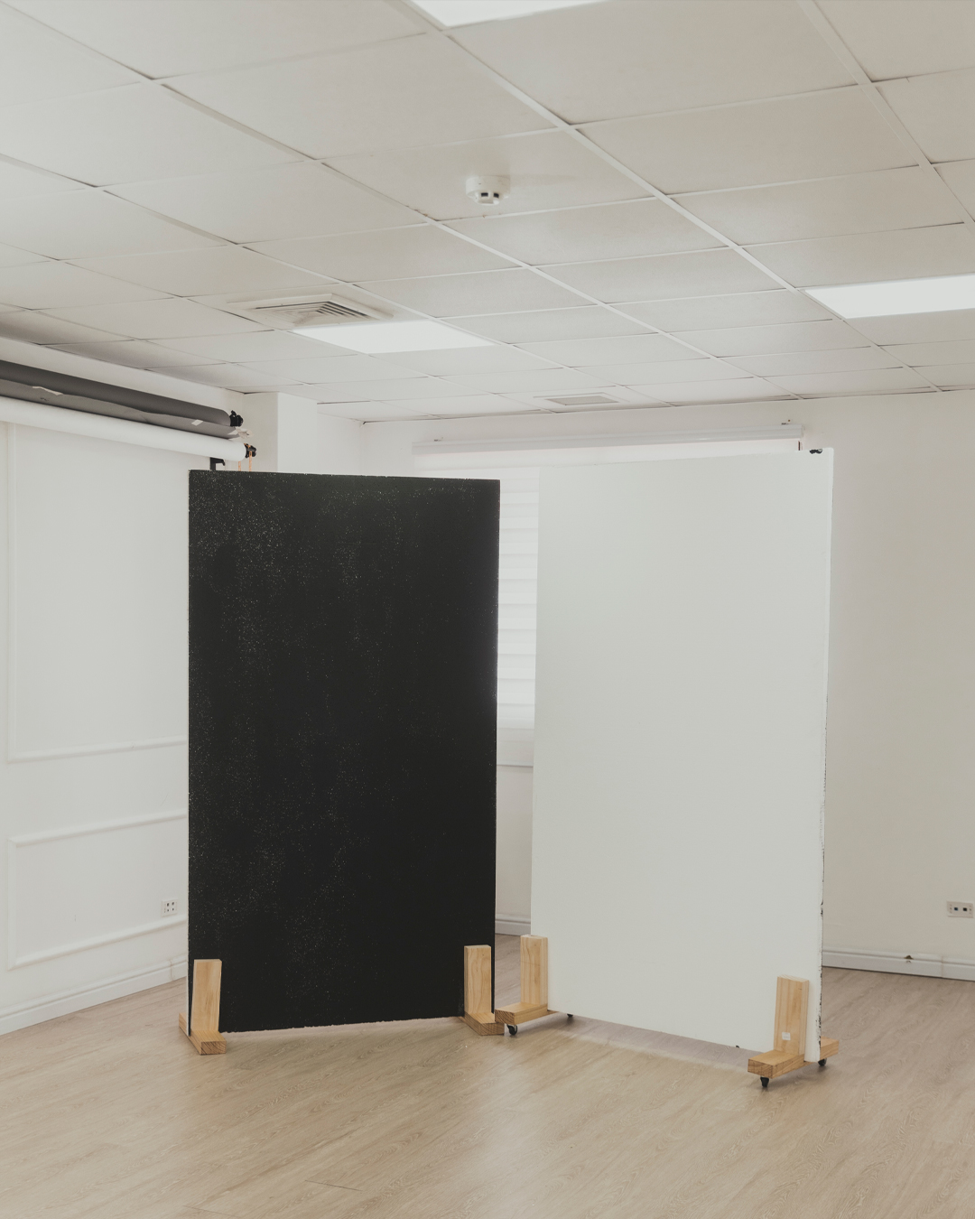 estudio23